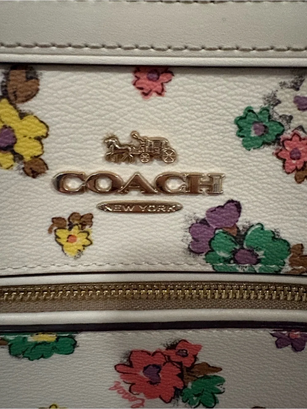 Coach Rowan Floral Print Crossbody Satchel with Gold Hardware